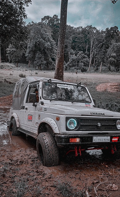 东体：申花主力赛季中后期身心疲劳，阵容一直是“明牌”状态